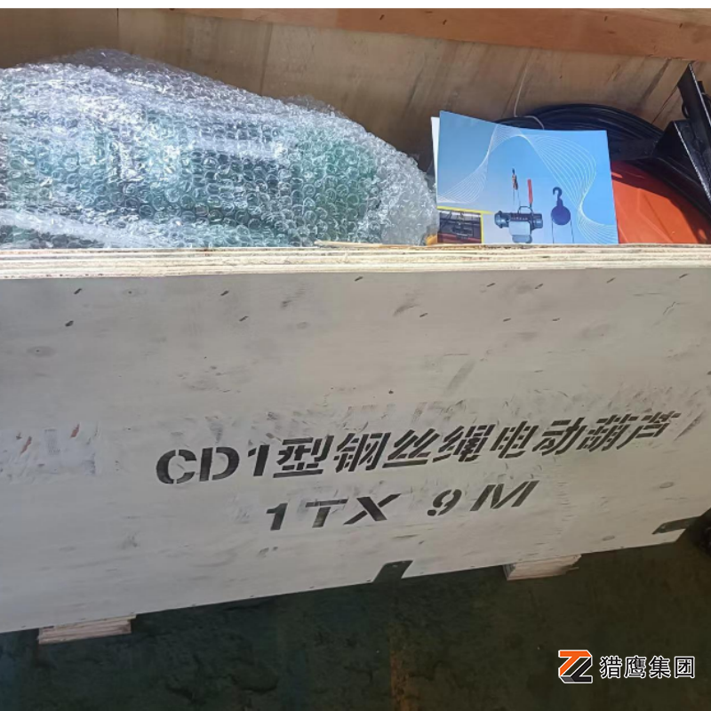 防靜電鋼絲繩電動(dòng)葫蘆油漆車間專用