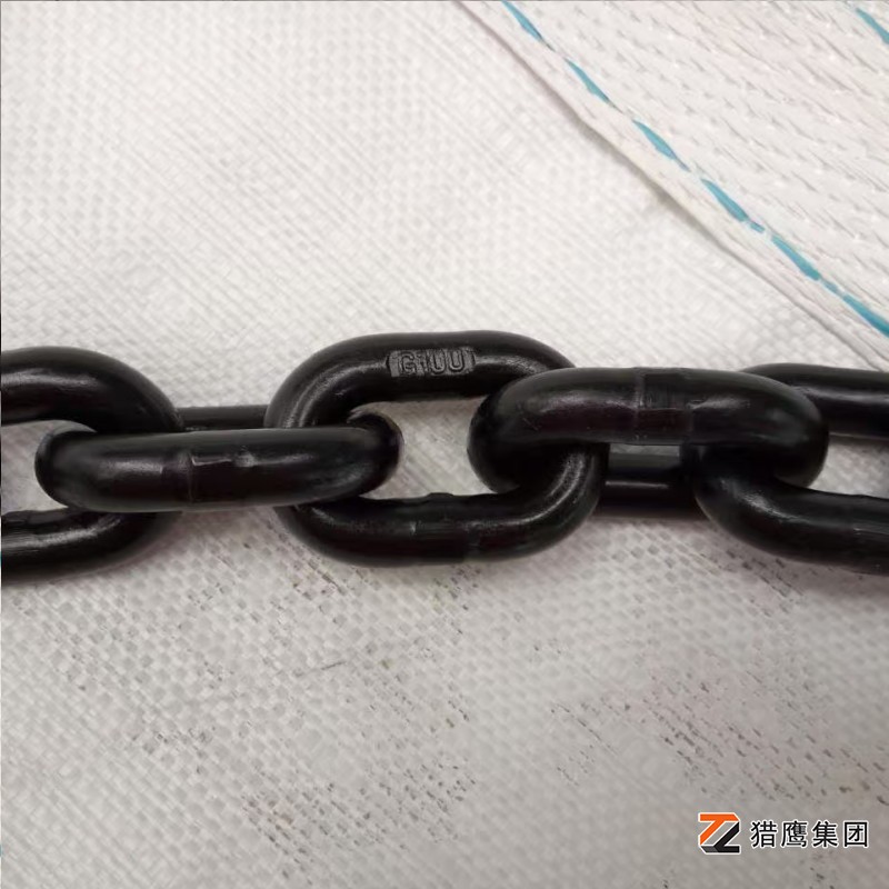 河北起重鏈條廠(chǎng)家有哪些？精選優(yōu)質(zhì)供應(yīng)商推薦